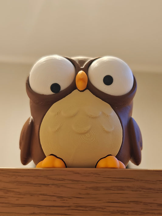 Owl Goofy Eyes | Chibi SnapCharm™ Character